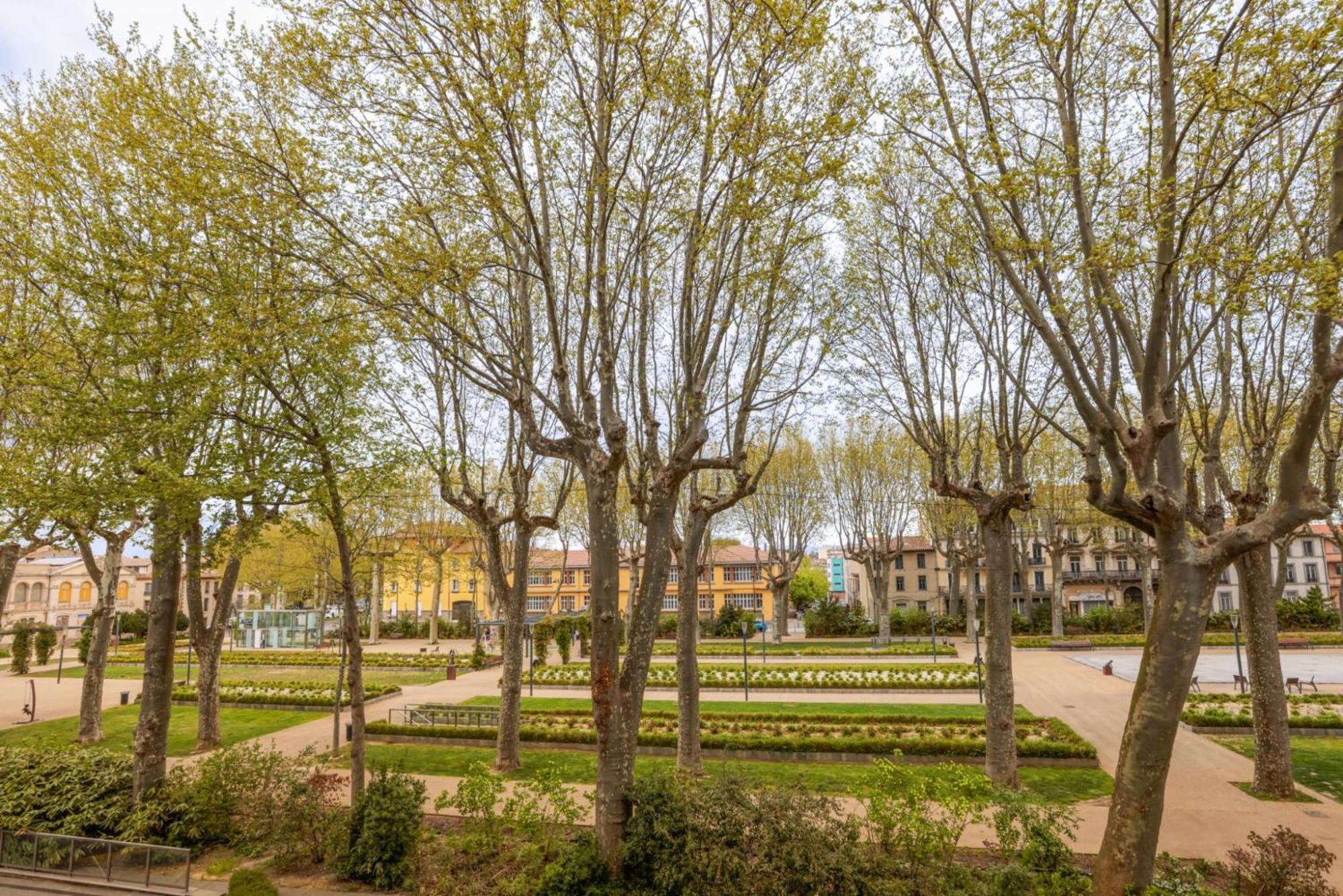 Apartamento L'Art De Gambetta Conciergeriedamecarcas Carcasona Exterior foto
